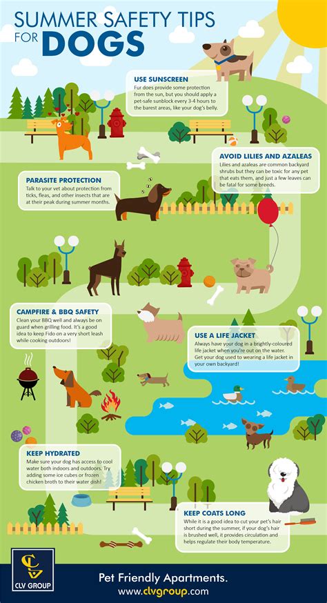 Summer Safety Tips For Dogs Infographic Clv Group Blog