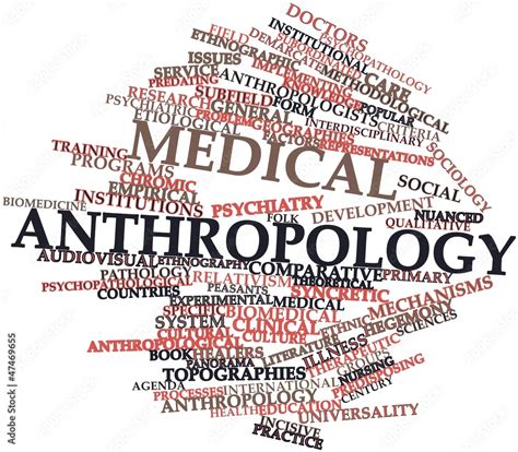 Word Cloud For Medical Anthropology Stock Illustration Adobe Stock
