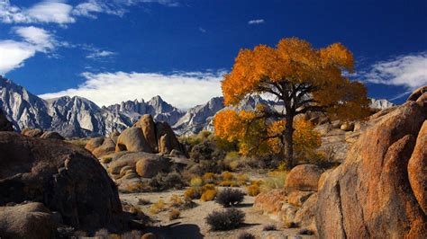 Because alabama hills is located in the southern california desert, the wind can be a fickle friend during the colder winter months. SENIORS TRAVEL TO ALABAMA HILLS, CALIFORNIA | Senior ...