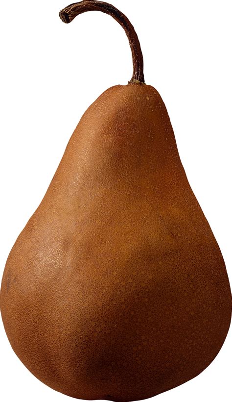 Brown Pear Png Image Transparent Image Download Size 755x1307px