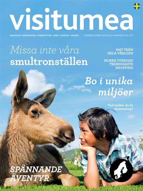 Hitta information om byggmax ab. Bilreparationer: Leksaker umeå