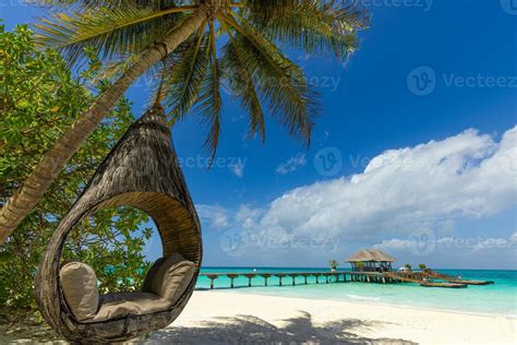 Tropical Beach Background Summer Island Landscape Swing On Palm Tree Hanging Sand Romantic
