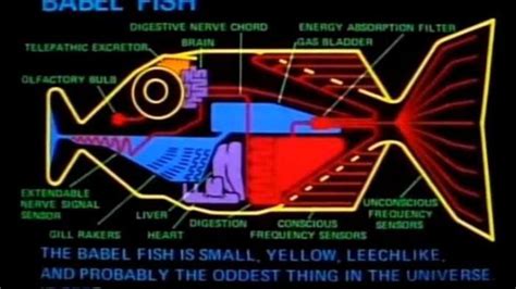 Babel Fish Instantaneous Translator Almost 100 Effective According To
