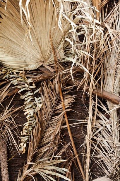 We did not find results for: dry palm tree leaf detail - Google Search | Leaf ...