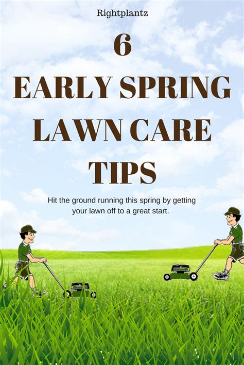 Early Spring Lawn Care Tips From The Pros I Spring