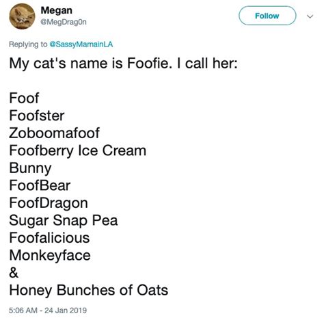 People Are Sharing All The Funny Nicknames They Call Their Pets And It
