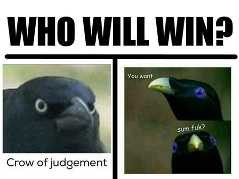 Who Will Win Crow Of Judgement Crow Of Judgement Know Your Meme