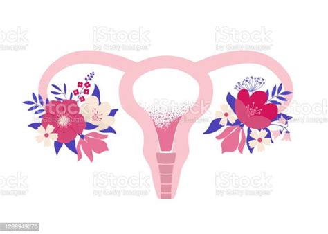 Beauty Female Reproductive System With Flowers Hand Drawn Uterus Womb