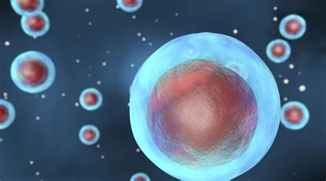 Origin Of Life Are Single Cells Really Simple Life Hope And Truth