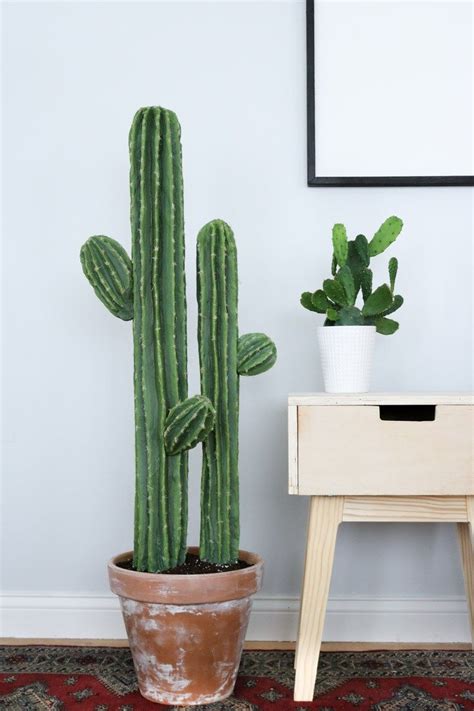 Cute Cactus Diy Plant Cactus Decor Diy Plants Cactus Diy