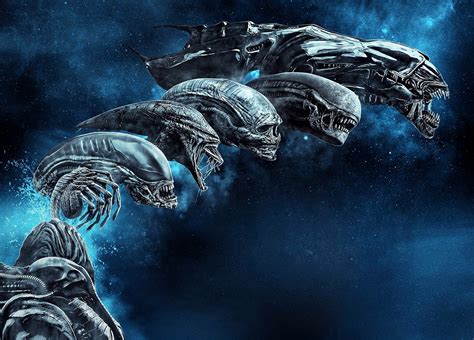 A collection of the top 40 alien covenant wallpapers and backgrounds available for download for free. Alien Evolution wallpaper HD wallpaper | Wallpaper Flare