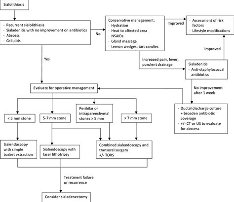 Contemporary Review Of Submandibular Gland Sialolithiasis And Surgical