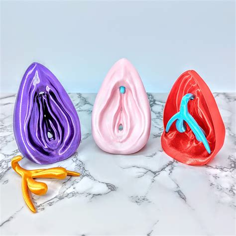 Vagina Art Anatomical Vulva And Clitoris Vagina Model Etsy