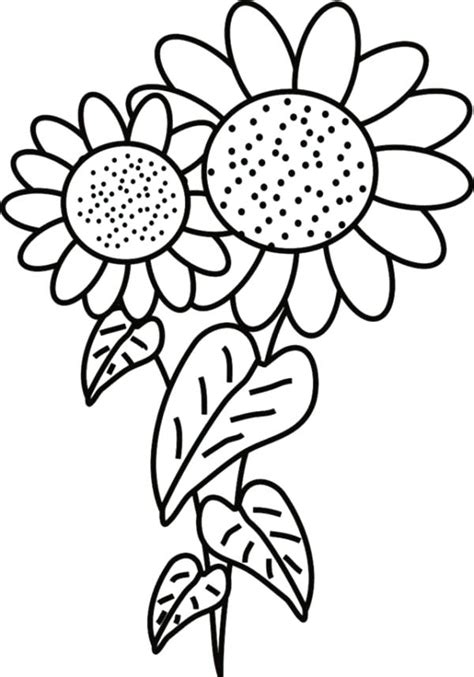 Sunflower Coloring Pages Printable at GetDrawings | Free download