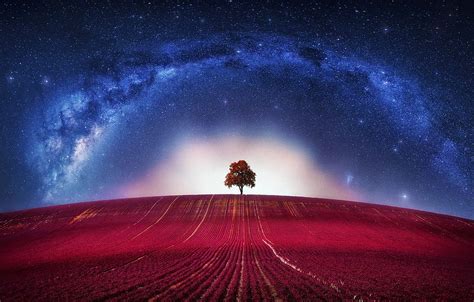 Fantasy Avatar Clouds Loneliness Horizon Tree Galaxy Lone Way