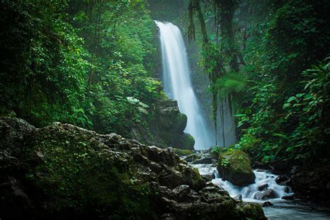 Tropical Rainforests Waterfalls