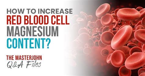 How To Increase Red Blood Cell Magnesium Content Masterjohn Qanda