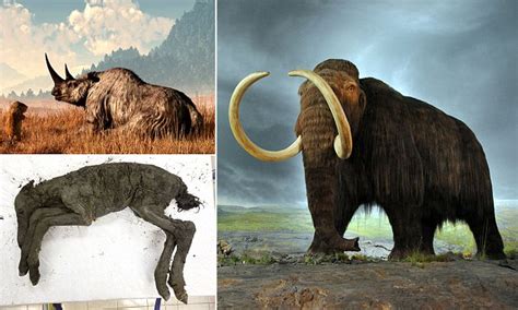 Russian Scientists Are Planning To Clone Woolly Mammoth At A New £45m Jurassic Park Style