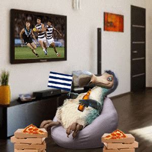 Dec 14, 2015 · happysadface.gif. Geelong Cats Afl GIF by Dodo Australia - Find & Share on GIPHY