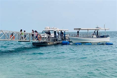 2024 Relax And Explore The Beauty Of Al Dar Island Tripadvisor