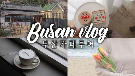 카최몇 커피덕후의 부산 카페투어 브이로그 Busan Vlog CAFE TOUR YouTube