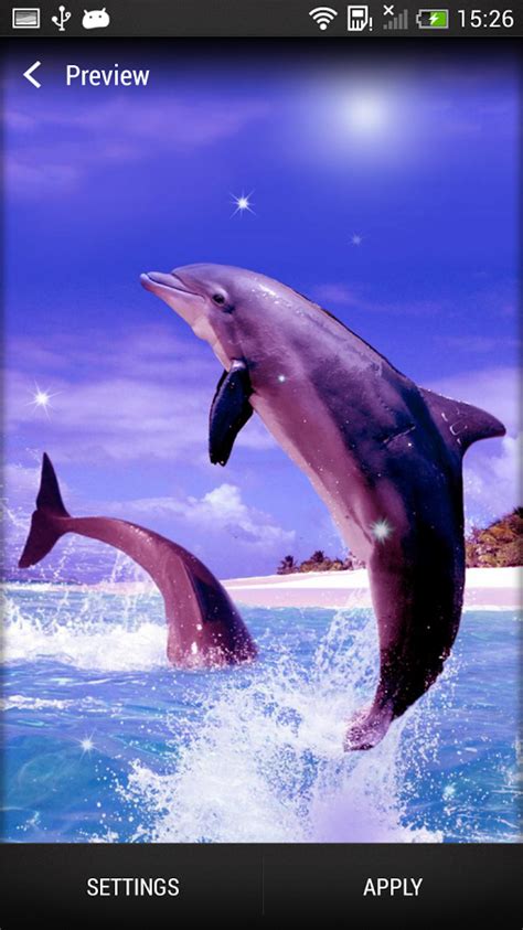 44 Live Dolphin Wallpaper Wallpapersafari