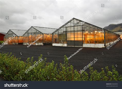 Shining Greenhouse Geothermal Heated Hveragerdi South Stock Photo