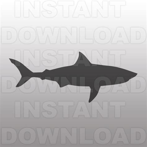 Free Free 257 Shark Svg Cricut SVG PNG EPS DXF File