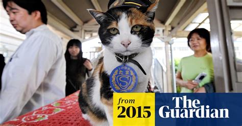 Tama The Cat 3000 Attend Elaborate Funeral For Japans Feline