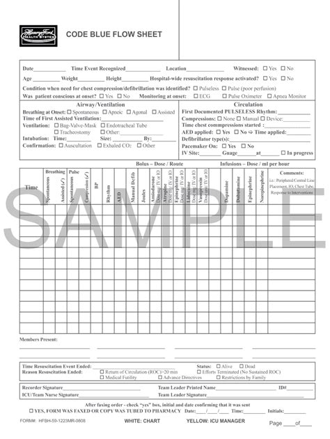 Code Blue Flow Sheet Fill Out And Sign Online Dochub