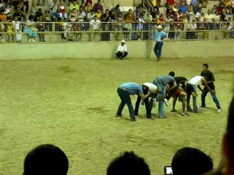 El peso de la bola en categoría masculina es de 7,26 kg y de 4 kg en femenina. Juego del burro bala (2) - Rodeo de la Expo Feria Guadalupe 2009 - YouTube