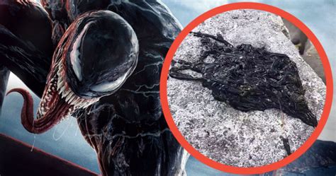 Movienewsroom Real Venom Symbiote Discovered In Viral Video Has The