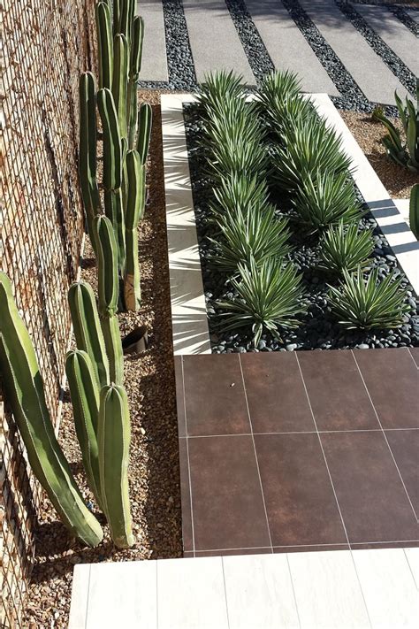 36 Cactus Garden Design Ideas Landscaping With Cactus And Rocks