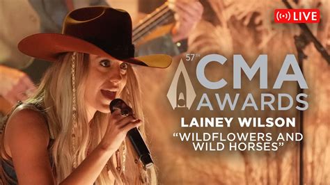 Lainey Wilson Wins 5 CMA Awards Including Entertainer Of The Year