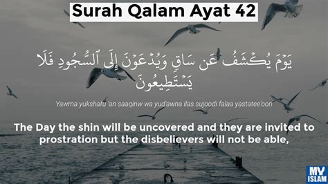 Surah Al Qalam Ayat 42 6842 Quran With Tafsir My Islam