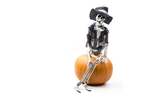 Pumpkin And Skeleton Free Stock Photo Public Domain Pictures