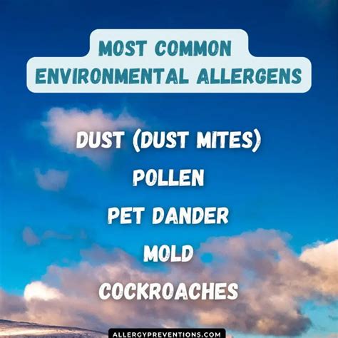 Most Common Environmental Allergens Infographic Allergy Preventions