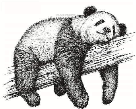 Lazy Panda Print Art Vektor Pngepssvg Digital Download Etsy