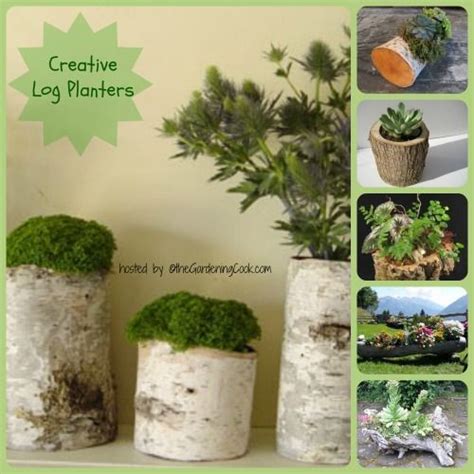 Logs Of All Types Repurposed As Planters Birch Candle Holders Birch