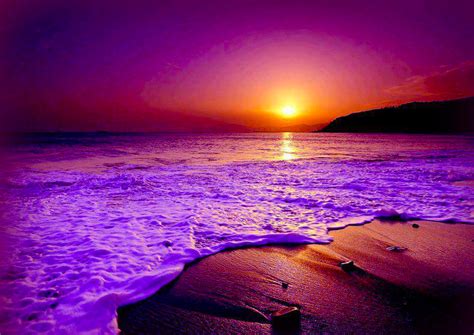 Purple Sky Sunset Beach Hd Wallpapers