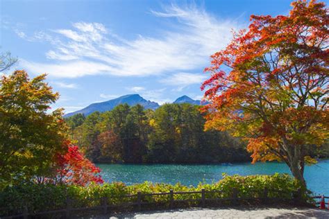 Goshiki Numas Breathtaking Blue Lakes Fukushima Travel