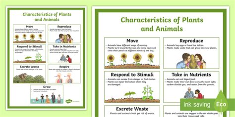 Characteristics Of Plants And Animals Easy To Download