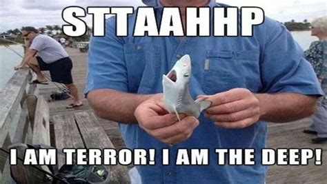 Shark Week 2017 Best Funny Memes