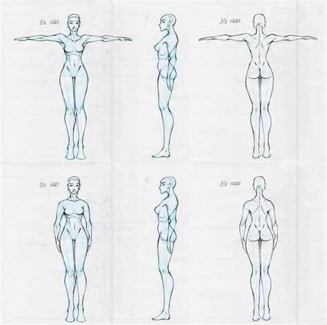 Pin By Ryan Taylor On Character Design Female Reference Body Reference Drawing Character