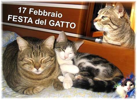 La festa del gatto si celebra oggi, 17 febbraio: 17 Febbraio, Festa del Gatto immagine #1867 - TopImmagini