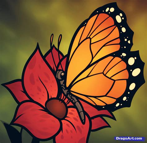 How To Draw A Butterfly On A Flower Butterfly And Flower Step By Step