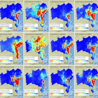 Probability Of The Spatial Distribution Of The Sand Fly Species Modeled Download Scientific