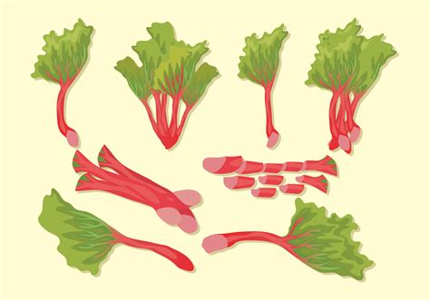 Free Clipart Rhubarb Best Free Library