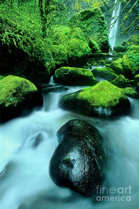 Elowah Falls Columbia River Gorge National Scenic Area Oregon