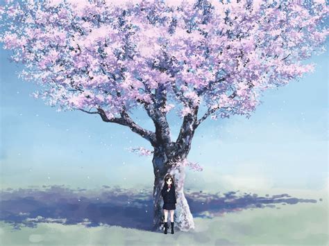 Fond Décran Ciel Branche Manga Fleur De Cerisier Printemps